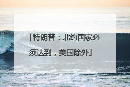 特朗普：北约国家必须达到，美国除外