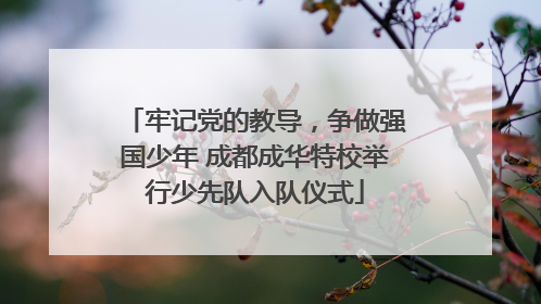 牢记党的教导，争做强国少年 成都成华特校举行少先队入队仪式