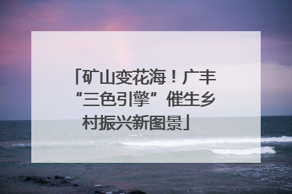 矿山变花海！广丰“三色引擎”催生乡村振兴新图景