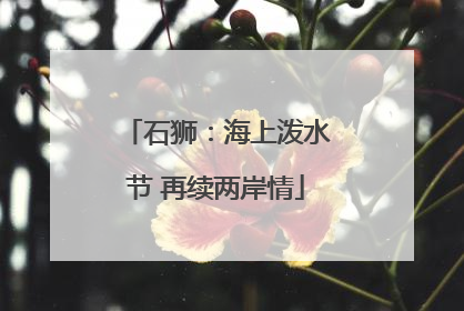 石狮：海上泼水节 再续两岸情