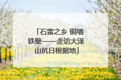 石雷之乡 铜墙铁壁——走访大泽山抗日根据地