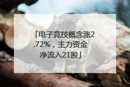 电子竞技概念涨2.72%，主力资金净流入21股