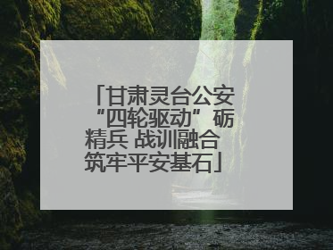 甘肃灵台公安“四轮驱动”砺精兵 战训融合筑牢平安基石