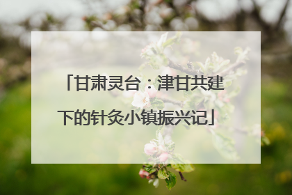 甘肃灵台：津甘共建下的针灸小镇振兴记