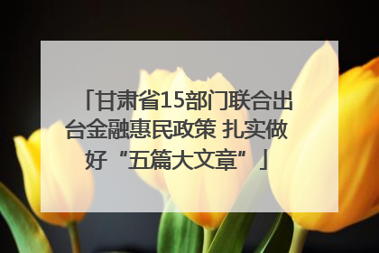 甘肃省15部门联合出台金融惠民政策 扎实做好“五篇大文章”