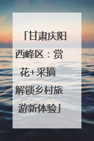 甘肃庆阳西峰区：赏花+采摘 解锁乡村旅游新体验