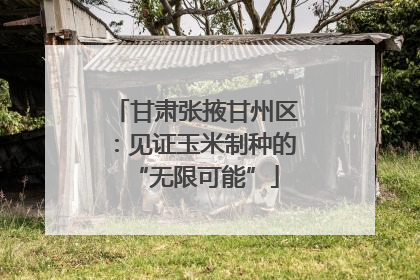甘肃张掖甘州区：见证玉米制种的“无限可能”