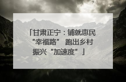甘肃正宁：铺就惠民“幸福路” 跑出乡村振兴“加速度”