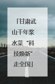 甘肃武山千年浆水菜“科技焕新”走全国