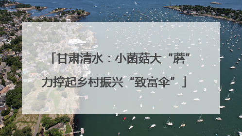 甘肃清水：小菌菇大“蘑”力撑起乡村振兴“致富伞”