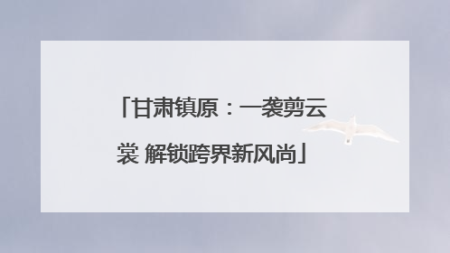 甘肃镇原：一袭剪云裳 解锁跨界新风尚