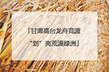 甘肃高台龙舟竞渡“划”亮荒漠绿洲