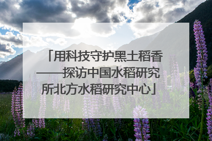用科技守护黑土稻香——探访中国水稻研究所北方水稻研究中心