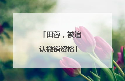 田蓉，被追认撤销资格