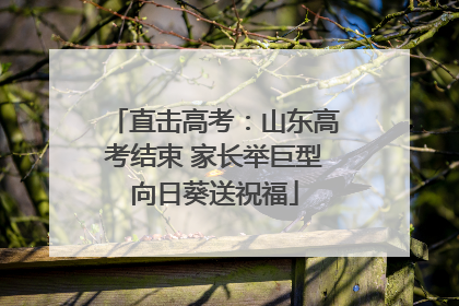 直击高考：山东高考结束 家长举巨型向日葵送祝福