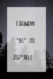 盐碱地“长”出高产粮