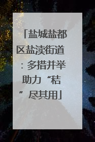 盐城盐都区盐渎街道：多措并举 助力“秸”尽其用