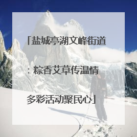 盐城亭湖文峰街道：粽香艾草传温情 多彩活动聚民心