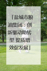 盐城市粮油集团：创新驱动助转型 提质增效促发展