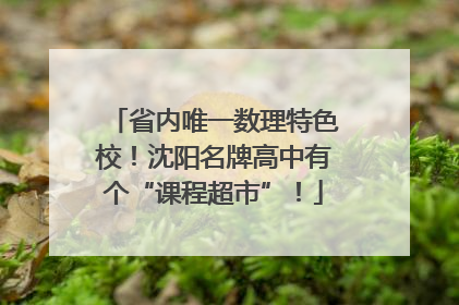 省内唯一数理特色校！沈阳名牌高中有个“课程超市”！
