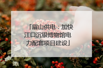 眉山供电：加快江口沉银博物馆电力配套项目建设