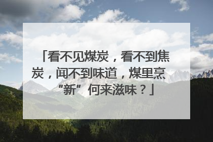 看不见煤炭，看不到焦炭，闻不到味道，煤里烹“新”何来滋味？