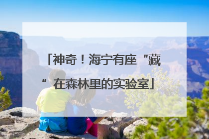 神奇！海宁有座“藏”在森林里的实验室
