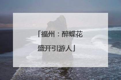 福州：醉蝶花盛开引游人