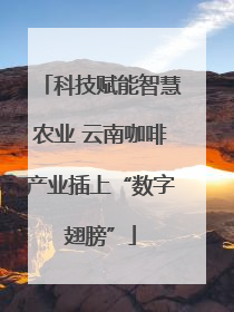 科技赋能智慧农业 云南咖啡产业插上“数字翅膀”