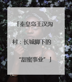 秦皇岛王汉沟村：长城脚下的“甜蜜事业”