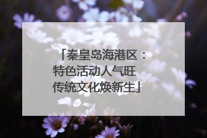 秦皇岛海港区：特色活动人气旺 传统文化焕新生