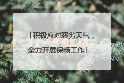 积极应对恶劣天气，全力开展保畅工作