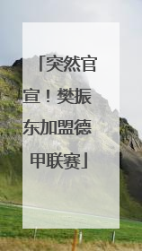 突然官宣！樊振东加盟德甲联赛
