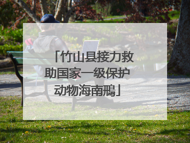 竹山县接力救助国家一级保护动物海南鳽