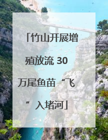 竹山开展增殖放流 30万尾鱼苗“飞”入堵河