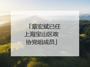 章宏斌已任上海宝山区政协党组成员