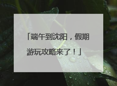 端午到沈阳，假期游玩攻略来了！