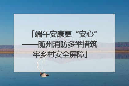 端午安康更“安心”——随州消防多举措筑牢乡村安全屏障