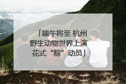 端午将至 杭州野生动物世界上演花式“粽”动员