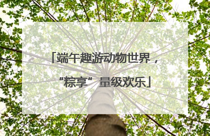 端午趣游动物世界，“粽享”量级欢乐