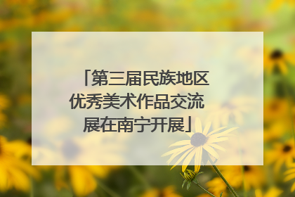 第三届民族地区优秀美术作品交流展在南宁开展