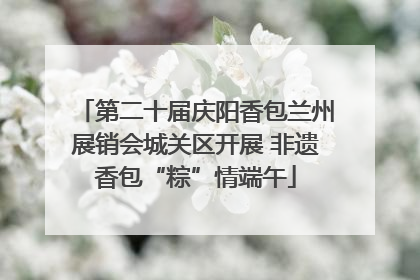 第二十届庆阳香包兰州展销会城关区开展 非遗香包“粽”情端午