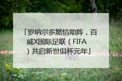 罗纳尔多燃情助阵，百威X国际足联（FIFA）共启新世俱杯元年