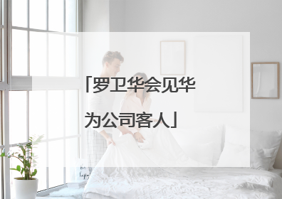 罗卫华会见华为公司客人