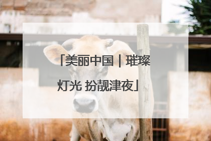 美丽中国｜璀璨灯光 扮靓津夜