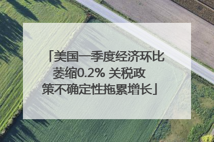美国一季度经济环比萎缩0.2% 关税政策不确定性拖累增长