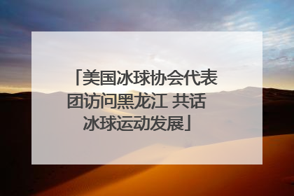 美国冰球协会代表团访问黑龙江 共话冰球运动发展
