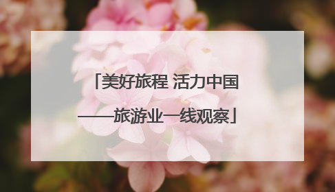 美好旅程 活力中国——旅游业一线观察