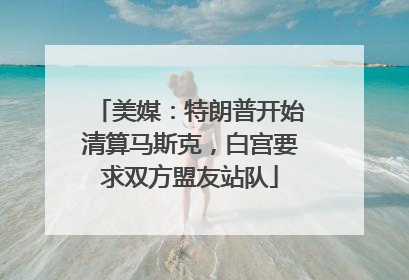美媒：特朗普开始清算马斯克，白宫要求双方盟友站队