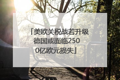 美欧关税战若升级 德国或面临2500亿欧元损失